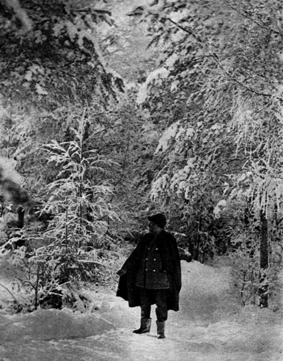 Рис. 4. И. Е. Репин в парке 'Пенатов'. Фотография 1910-х гг.