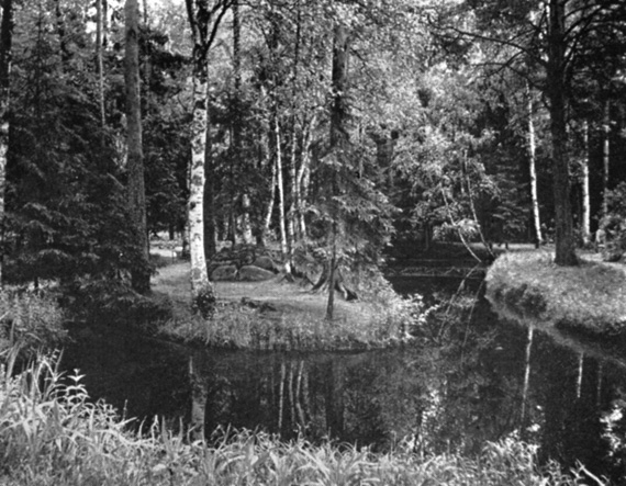 Рис. 10. Парк 'Пенатов'. Фотография 1975 г.